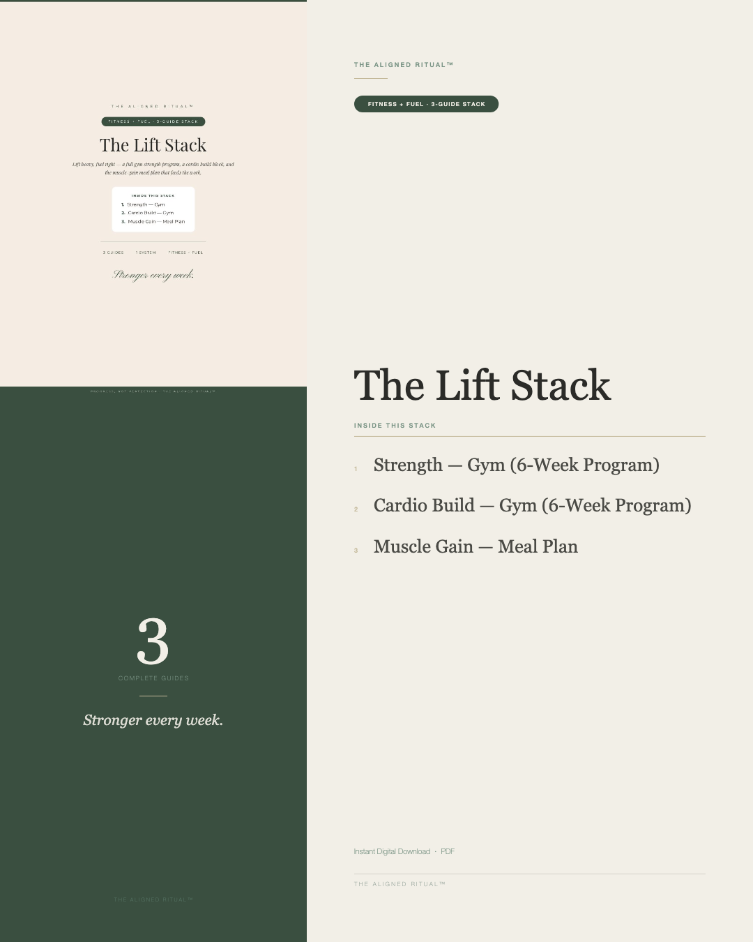 The Lift Stack — Gym Strength + Cardio Programs with Muscle Gain Meal Plan