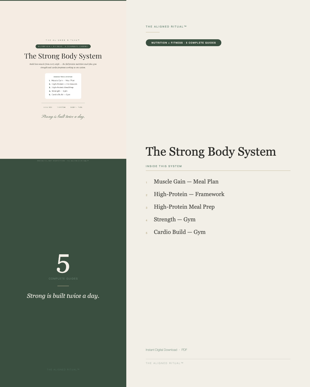 The Strong Body System — Muscle Gain Nutrition + Gym Strength & Cardio Programs (5 Guides)