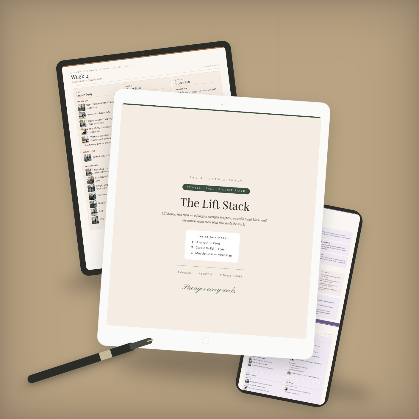 The Lift Stack — Gym Strength + Cardio Programs with Muscle Gain Meal Plan